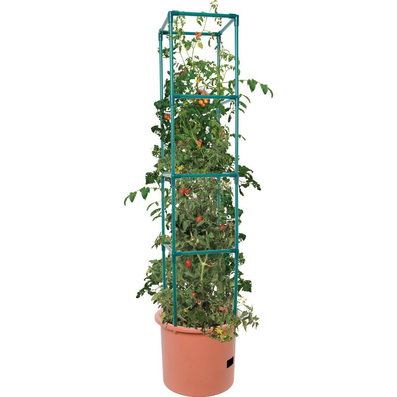 Heavy Duty Tomato Barrel (with Tower) Indoor Grow Set Ups