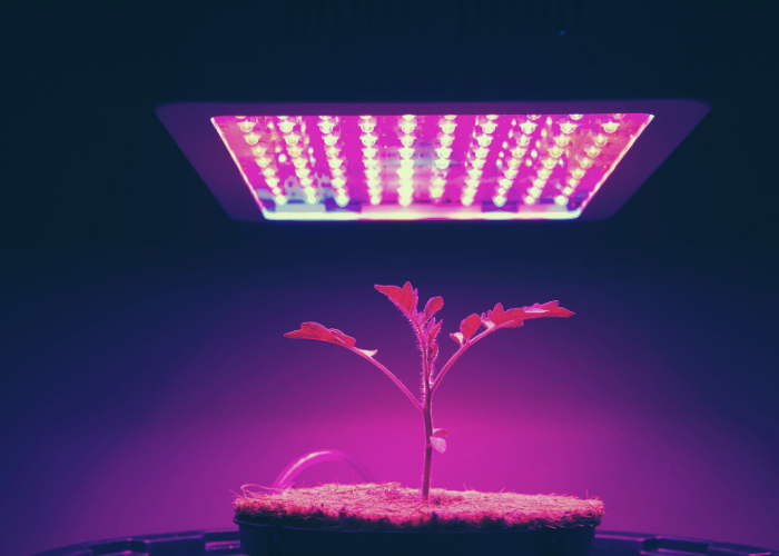 Grow Room Hydroponics Setups We Recommend for Small Spaces Cultivation Chronicles GSS