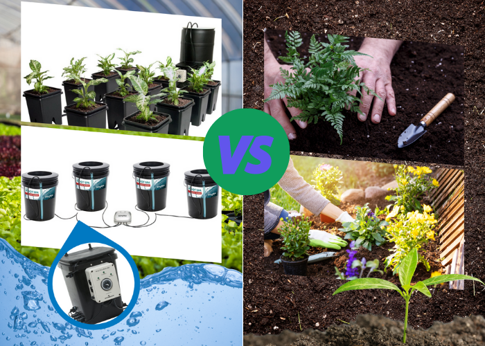 Growing Pros and Cons: Hydroponics vs. Soil for Cultivation Chronicles