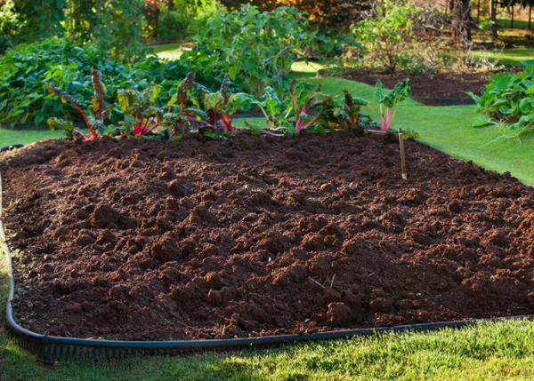 Winter Soil Testing, Prep & Replenishment Guide for Your Grow