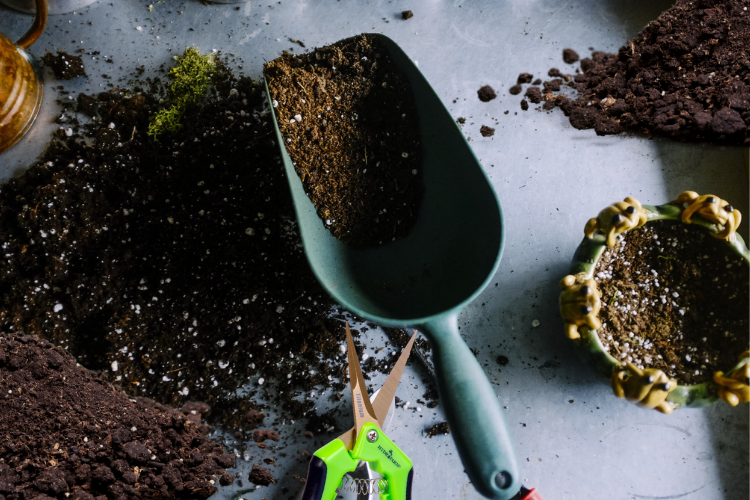 Winter Soil Preparation Methods for Your Grow or Garden