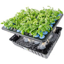 Top view of reservoir for plants that are draining