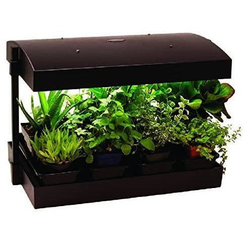 herbs and plants under the LEF Grow Light