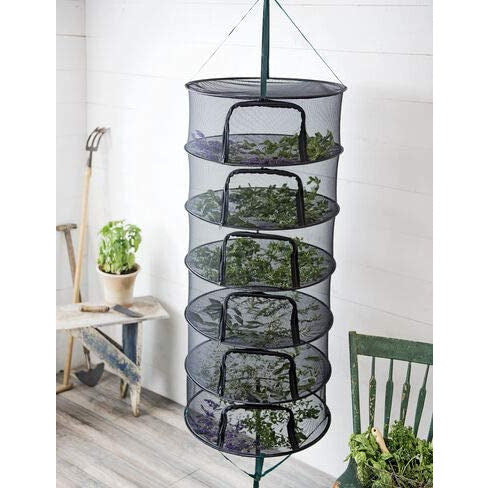 plants in the hanging drying rack
