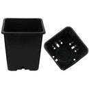 black pot for plants