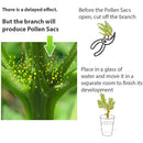 Demonstration of what the Feminizer Bottle will produce