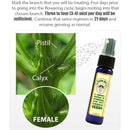 Directions to Spray Mist on Flowers