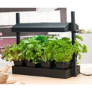 Sunblaster Micro T5 Grow Light Garden, Black