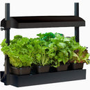 Sunblaster Micro T5 Grow Light Garden, Black