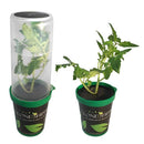 Clone Shipper Classic - The Best Way to Ship Clones