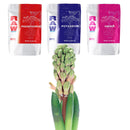 NPK RAW Early Bloom Booster Solution