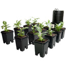  Active Aqua Grow Flow 2.0 Expansion Kit w/six 5 gal Square Pots
