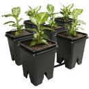 Active Aqua Grow Flow 2.0 Expansion Kit w/six 5 gal Square Pots