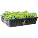 oxyCLONE PRO Series 80 Site Cloning System