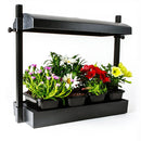 Sunblaster Micro T5 Grow Light Garden, Black