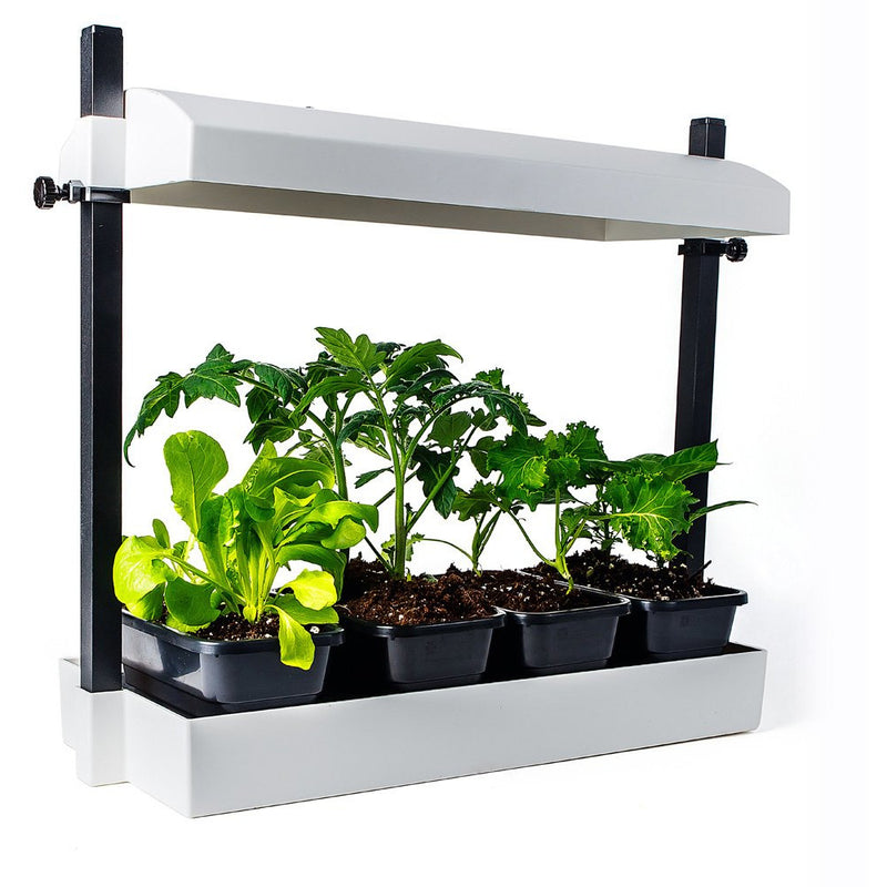 SunBlaster Micro T5 Grow Light Garden (White)
