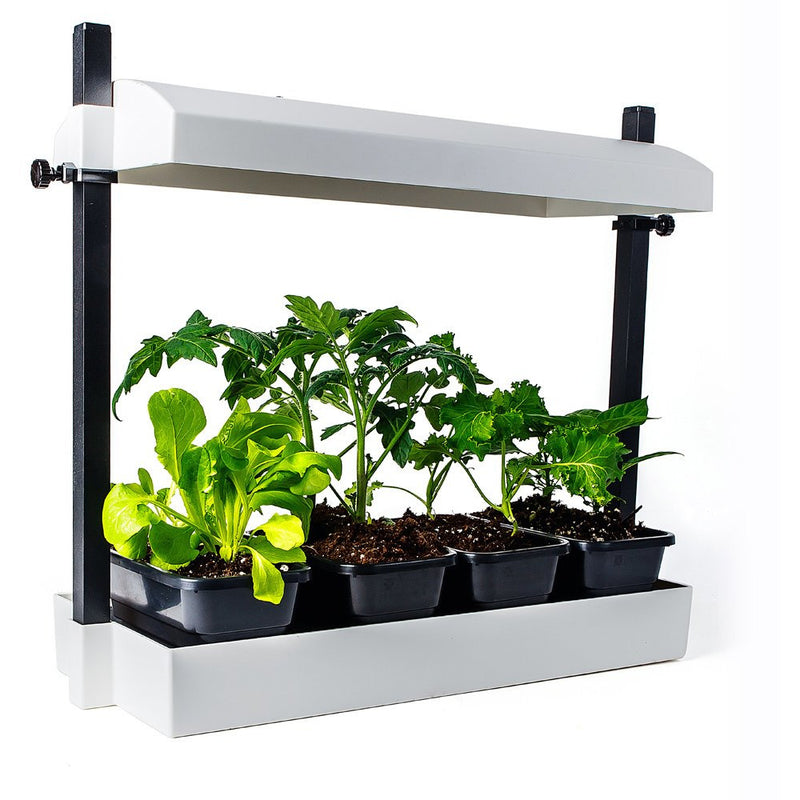 SunBlaster Micro LED Grow Light Garden (White)