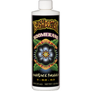 Bush doctor boomerang comeback formula 