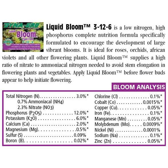 liquid bloom summary and bloom analysis