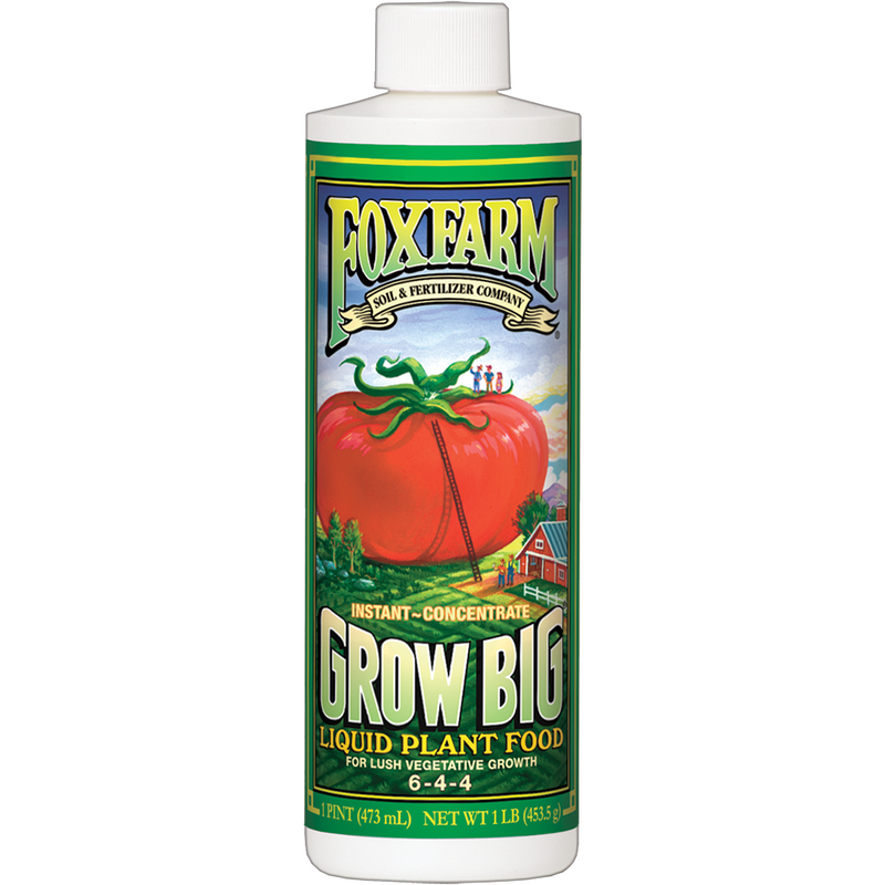 grow big 6-4-4 plant food