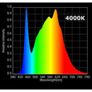 Horticulture Lighting Group HLG 65 V2 LED Grow Light