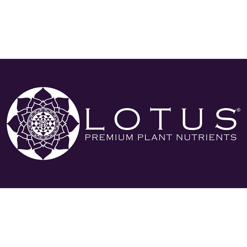 Lotus purple logo
