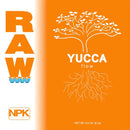 Raw Orange Logo for Yucca Flow