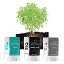 NPK RAW Root Structure Solution