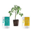 NPK RAW Stress/Transplant Solution